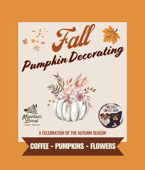 Fall Pumpkin Decorating at Two Dogs | 9/24