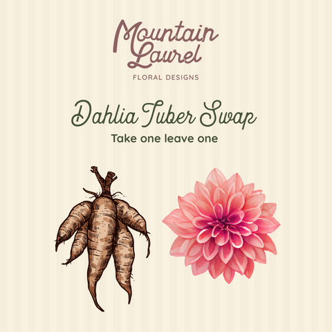 FREE Dahlia Tuber Swap Every Saturday In May