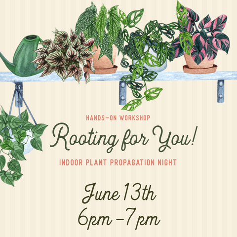 Rooting for You! Indoor Plant Propagation, 6/13