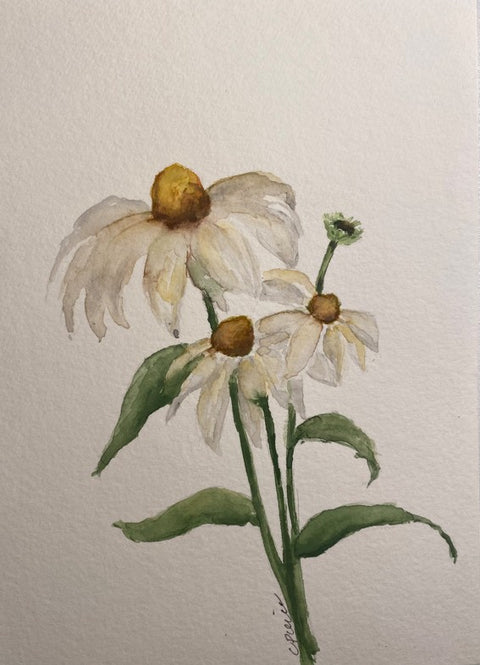 Watercolor 101 | Jun. 20