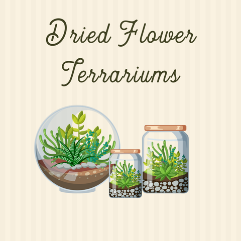 Dried Flower Terrariums, 10/17