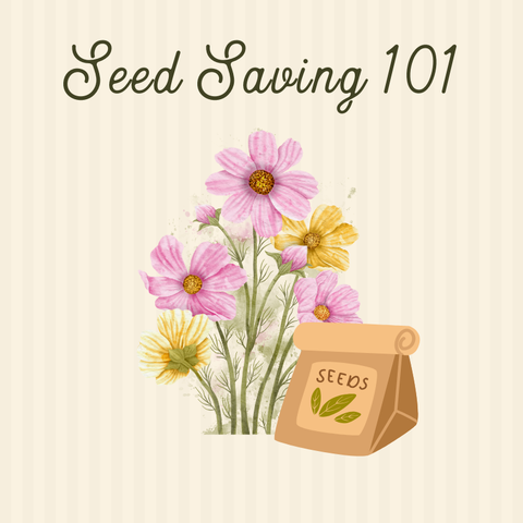 Flower Seeding Saving 101, 10/9